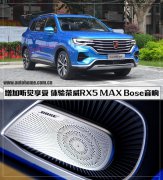  X wsRX5 MAX Bose